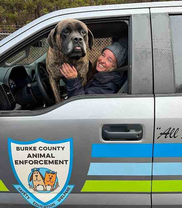 Burke County Animal Services in Morganton, North Carolina, teilte einen unglaublich wahrheitsgemäßen Adoptionsbeitrag über einen Rettungshund namens Billy Bob, der ein paar Macken hat