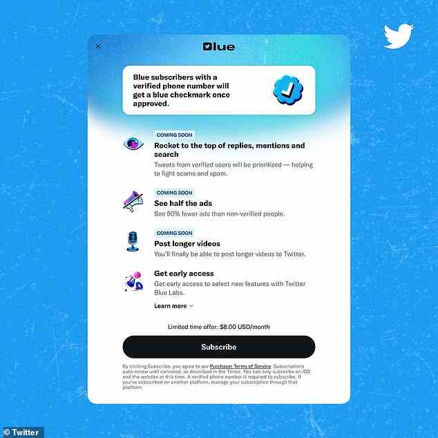 Twitter hat „Twitter Blue“ neu gestartet – einen Abonnementdienst, der Benutzern gegen eine monatliche Gebühr ein „blaues Häkchen“ zur Verifizierung gibt