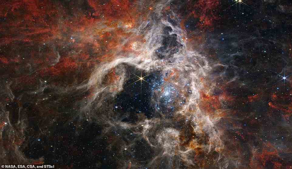 In this mosaic image stretching 340 light-years across, Webb's Near-Infrared Camera (NIRCam) displays the Tarantula Nebula star-forming region in a new light, including tens of thousands of never-before-seen young stars that were previously shrouded in cosmic dust