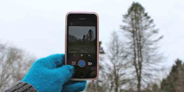 Hand, die einen blauen Handschuh trägt, der ein Foto von Bäumen mit einem Mobiltelefon macht