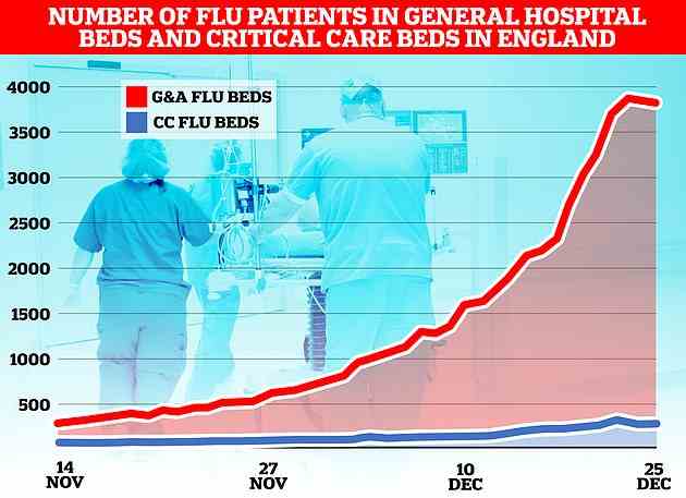 Die Grippe-Nami hat den NHS in England überschwemmt, wie die jüngste Runde von Daten des Gesundheitsdienstes zeigt, mit über 3.800 Einweisungen wegen des Virus am 23. Dezember. Die Grafik zeigt die Anzahl der Betten auf Stationen, die von Grippepatienten (rot) und belegt wurden die Anzahl der wegen des Virus belegten Betten in der Intensivpflege (blau)