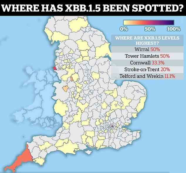 Figures from the Sanger Institute, one of the UK's largest Covid surveillance centres, show XBB.1.5 was spotted nine times in the week to December 17. Five of the cases were spotted in Wirral in Merseyside, where scientists estimate it is behind 50 per cent of cases. One XBB.1.5 sample was sequenced in Stoke-on-Trent, where 20 per cent of cases are thought to be caused by the strain. Telford and Wrekin in Shropshire (11 per cent), Tower Hamlets in London (50 per cent) and Cornwall (33 per cent) all each reported one strain caused by the Omicron sub-variant