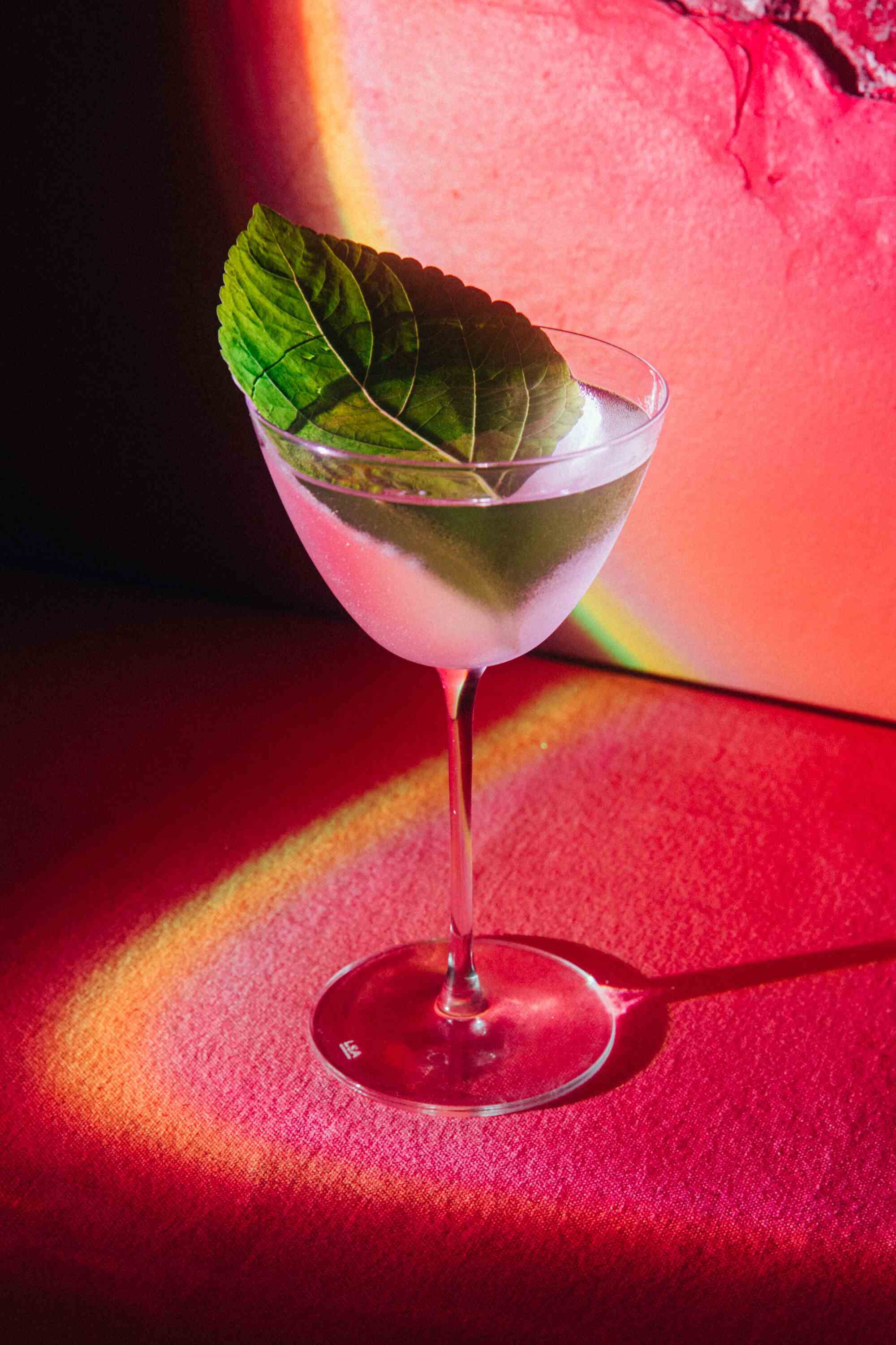 Ein klarer Cocktail in einem Stielglas mit einem darin ruhenden Blatt.