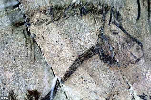 Ein Pferd, das vor etwa 15.000 Jahren an die Wand der Niaux-Höhle (Ariege, Frankreich) gezogen wurde.  Jäger und Sammler aus der Eiszeit benutzten Höhlenmalereien, um raffinierte Informationen über die Welt aufzuzeichnen