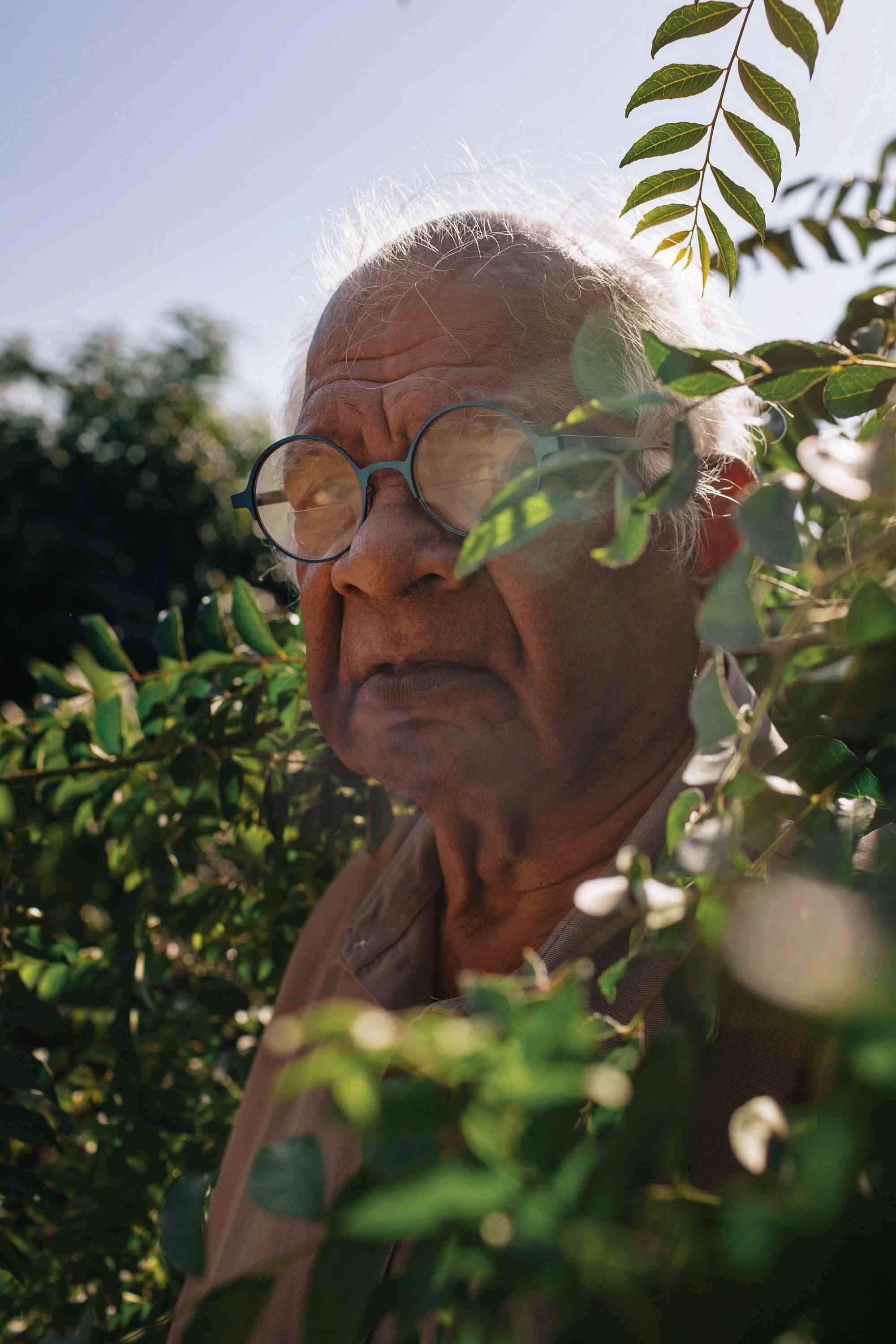 Ein älterer Mann mit Brille steht zwischen grünen Bäumen.