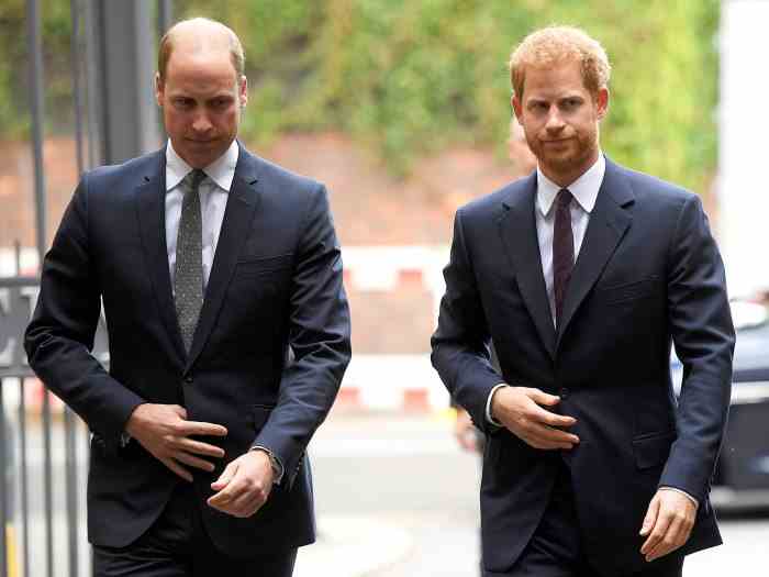 Prinz Harry bezeichnet Prinz William in „Ersatz“-Memoiren als seine „Erznemesis“ und sagt, Brüder hätten „eine Million physische Kämpfe in unserem Leben“