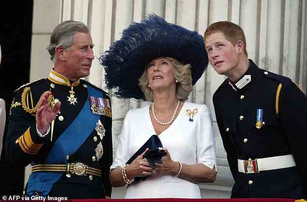 Prinz Charles, Prinzessin Camilla und Prinz Harry beobachten Mohnblumen, die von einer Lancaster-Bombe fallen, während sie neben Prinz Andrew auf dem Balkon des Buckingham Palace während der Feierlichkeiten zum Ende des Zweiten Weltkriegs in London am 10. Juli 2005 steht