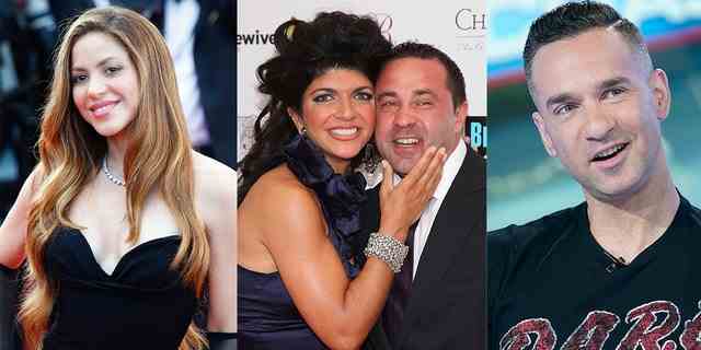 Hollywoodstars, darunter Shakira, Teresa und Joe Giudice und Mike „The Situation“, wurden der Steuerhinterziehung beschuldigt.