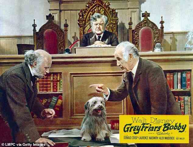 Eine Lobbykarte für den Film Greyfriars Bobby von 1961, in dem auch Laurence Naismith, Andrew Cruickshank und Donald Crisp (von links) mitspielten