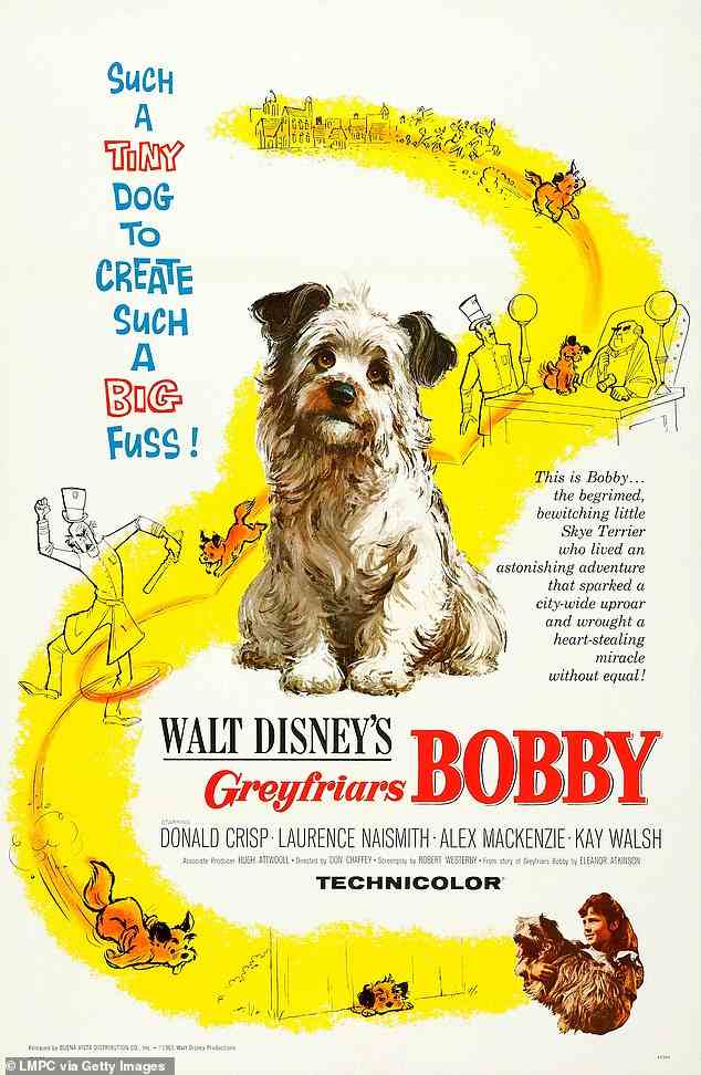 Die Inhaltsangabe des Films von 1961, adaptiert aus dem Roman von 1912, lautet: „Bobby the Skye Terrier ist seinem Besitzer, einem freundlichen alten Schäferhund, der nur als ‚Old Jock‘ bekannt ist, vollkommen hingegeben.  Als Jock stirbt, hält Bobby eine Mahnwache an seinem Grab, und seine Hingabe an seinen verstorbenen Herrn ist so groß, dass der Hund schließlich zum Ehrenbürger von Edinburgh ernannt wird.