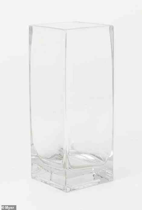 She said glass brick-inspired homewares and furniture will soon start to appear in stores. While you're waiting for shops to catch up on the trend, you can emulate the look with the square vase (pictured) for just $9.95 from Myer