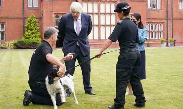 Boris Johnson Polizei von Surrey