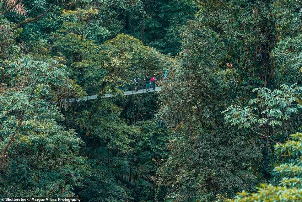 Not to be missed is the Mistico Hanging Bridges Park – 16 canopy walkways suspended over ravines in primary rainforest