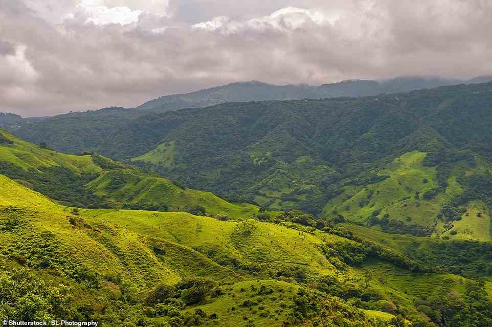 The Monteverde Cloud Forest, at an elevation of 4,600ft, is the most unique of all Costa Rica’s habitats