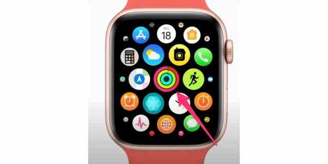 Die Aktivitäts-App auf Ihrer Apple Watch.
