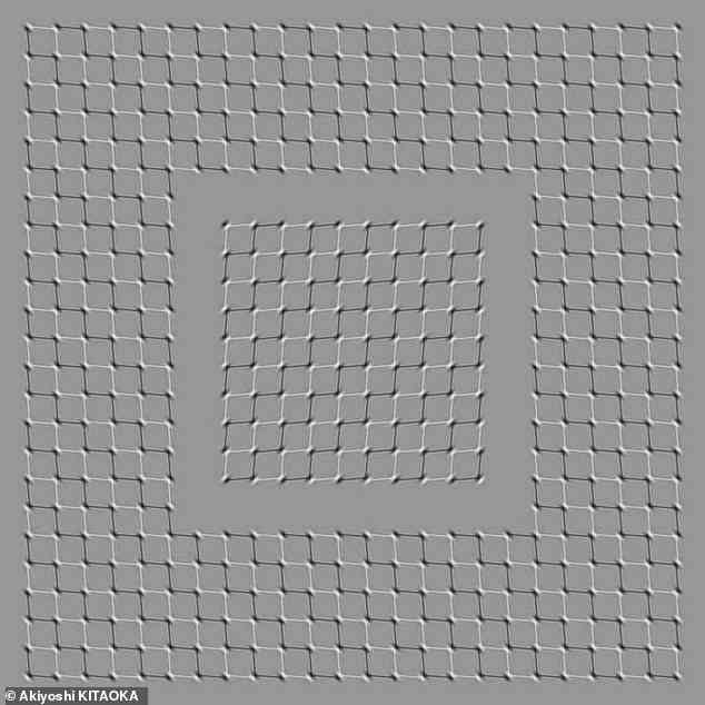 Diese optische Täuschung verwendet eine illusionäre Bewegung, um Ihr Gehirn dazu zu bringen, zu glauben, dass sich die Quadrate bewegen.  Dies geschieht aufgrund der leuchtenden Kanten, die Ihre Augen als Bewegung wahrnehmen