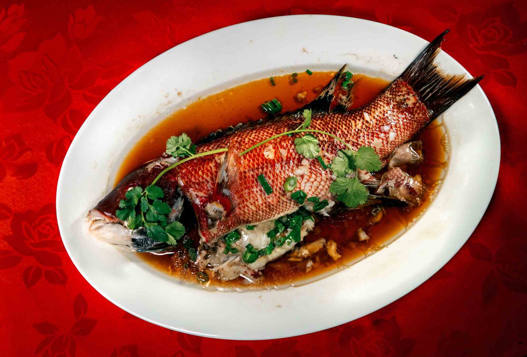 Ganzer gedünsteter Fisch mit Ingwer und Frühlingszwiebeln vom Restaurant Taste of MP für das Mondneujahr.