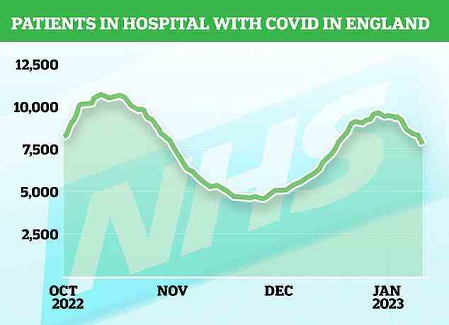 COVID: Die Zahl der mit Covid infizierten Personen, die in England Krankenhausbetten bezogen, sank um 11 Prozent von 9.414 in der Woche bis zum 4. Januar auf 8.404 in den sieben Tagen bis zum 11. Januar. NHS-Daten zeigen, dass die Zahl am 29. Dezember mit 9.533 ihren Höhepunkt erreichte und hat seitdem um 19 Prozent auf 7.743 gefallen