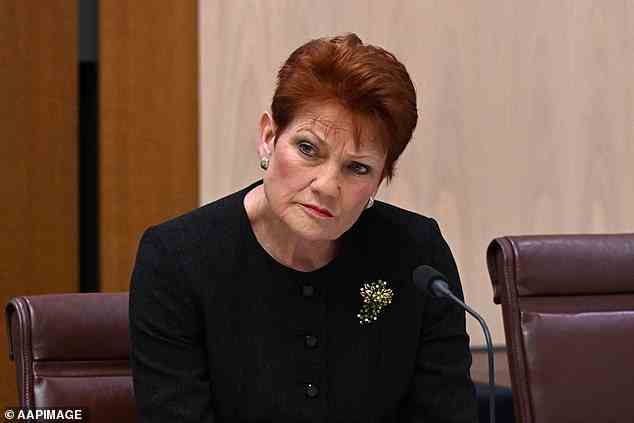 One Nation leader Pauline Hanson condemned the proposal as 'deeply flawed and unjust'
