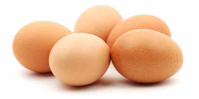 Eier, die lange im Nest bleiben, können zerbrechen oder schmutzig werden – sammeln Sie also so oft wie möglich frisch gelegte Eier, raten Gesundheitsexperten. 