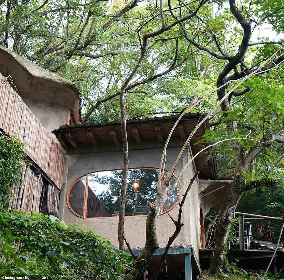 9. NATURE'S PARADISE OF MY DREAM (CHENGGONG, TAIWAN): Airbnb sagt, dass diese „skurrile“ Hütte, die in einem Bambuswald liegt, „von ihrer naturverbundenen Gastgeberin Nancy und ihrer Familie aus natürlichen Materialien von Grund auf neu gebaut wurde“.  Vorlieben - 6.136