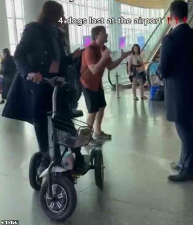 Der Züchter fleht das Flughafenpersonal an, bevor er in einen Wutanfall verfällt