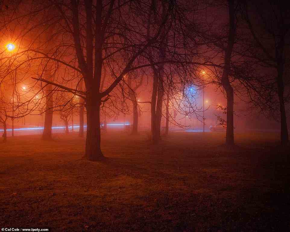 This atmospheric photograph helped 18-year-old British photographer Cal Cole earn a runner-up accolade for the ‘Young Travel Photographer of the Year 15 to 18 Years’ award. ‘I feel the contrast between nature and urban is very interesting,’ Cole says of the image, taken on a foggy evening in Prestwich, Greater Manchester, in woodland that lies next to a busy junction
