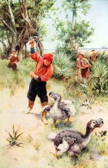 Dodos werden von Seeleuten gejagt