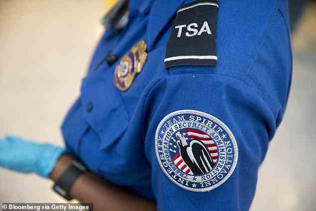 Auf die Flugverbotsliste der TSA mit 1,5 Millionen Einträgen wurde online zugegriffen, da der Server ungeschützt war