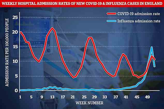 Der NHS kämpft gegen eine „Twindemie“ von Covid-Fällen und den schlimmsten Grippeausbruch seit einem Jahrzehnt.  Die Grafik zeigt die wöchentlichen Krankenhauseinweisungen pro 100.000 Personen für Covid (rot) und Grippe (blau) in der Woche bis zum 1. Januar