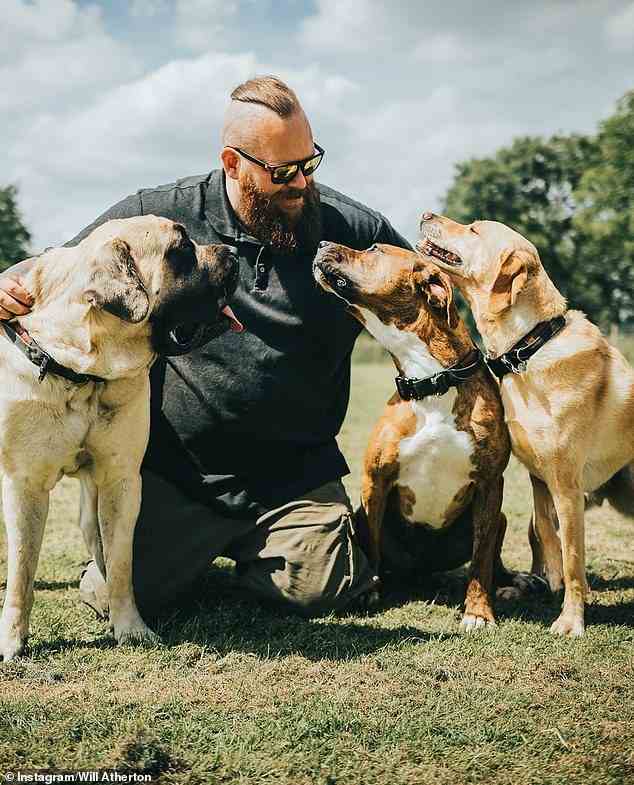 Der Hundeverhaltensforscher Will Atherton (im Bild) hat die drei Hunderassen genannt, die er selbst niemals besitzen würde