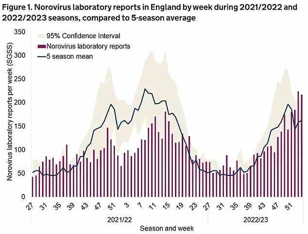 Daten der UK Health Security Agency zeigten heute, dass in England in den ersten zwei Wochen des Jahres 2023 441 Fälle von Norovirus entdeckt wurden. Die Zahl liegt 37 Prozent über den 321 Berichten, die für diese Jahreszeit erwartet wurden, basierend auf den fünf vor der Pandemie -Jahresdurchschnitt