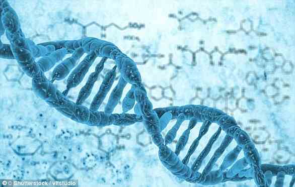 Gene cloning creates copies of genes or parts of DNA. Reproductive cloning creates copies of whole animals (stock image)