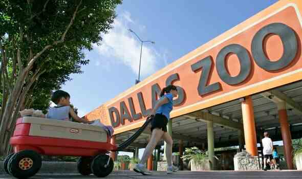 Der Dallas-Zoo.