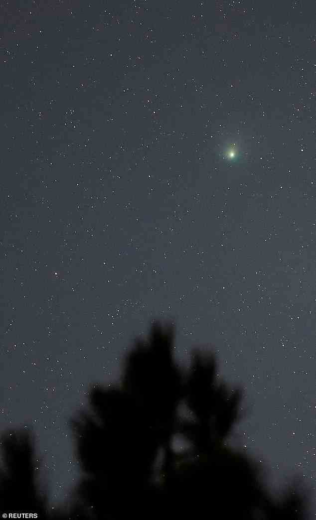 Der grüne Komet, aufgenommen vom Pico de Las Nieves auf der Insel Gran Canaria in Spanien