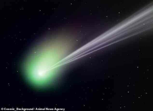 Andrew McCarthy aus Arizona hat den Kometen letzten Monat stundenlang verfolgt und bei jeder Gelegenheit Bilder gemacht.  Er führte eine Menge Bearbeitung durch, um die Bilder zu bereinigen, um dieses atemberaubende Ergebnis zu erzielen, aber der Ionenschweif, der auf dem unverarbeiteten Foto zu sehen ist, „ist genau“, sagte er