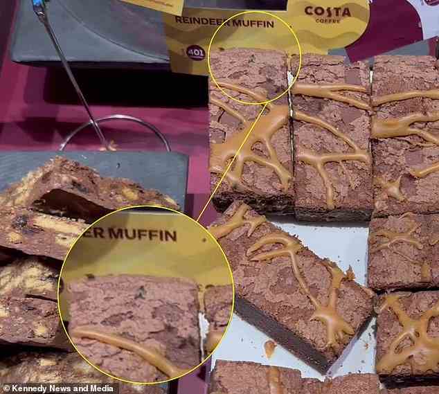 Ant attack: A customer claimed they saw ants and flies crawling over the festive treats in the Costa Coffee on Fore Street in Tottenham
