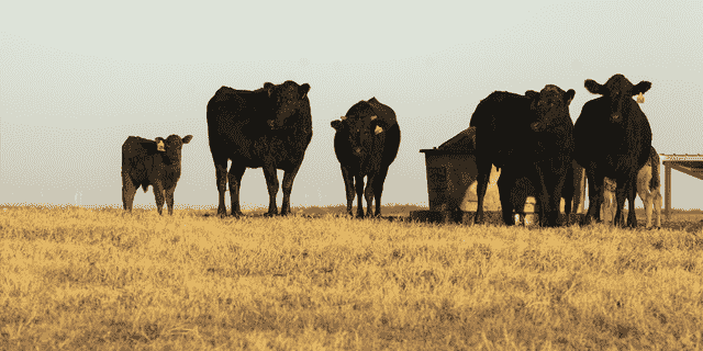 Ein Viehzüchter aus Montana warnte davor, dass die neue Wasserrichtlinie der EPA zu einem Rückgang der landwirtschaftlichen Produktion führen könnte.