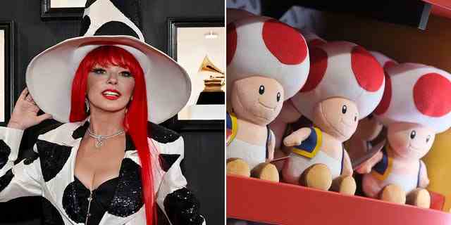 Social-Media-Nutzer verglichen Shania Twains Aussehen mit dem von Toad, einer beliebten Figur aus den Super Mario-Videospielen.
