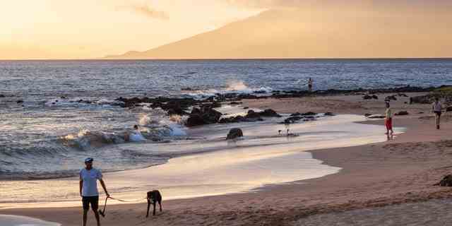 Strandbesucher genießen den Sonnenuntergang.  Einer geht mit seinem Hund spazieren, ein anderer hält ein Netz, einer joggt.  Keawakapu-Strand, Kihei, Maui, Hawaii, USA.  Aufgenommen am 14. Mai 2014.