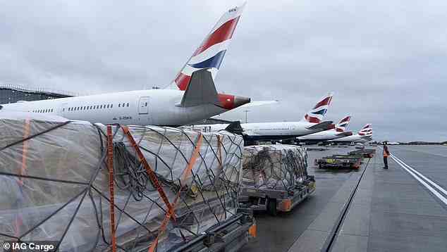 The exhibit was dismantled into more than 40 crates in Trelow back in November, before being packed into the bellyhold of two Boeing 787-9 passenger aircraft. Pictured: Dinosaur unloaded from aircraft at London Heathrow