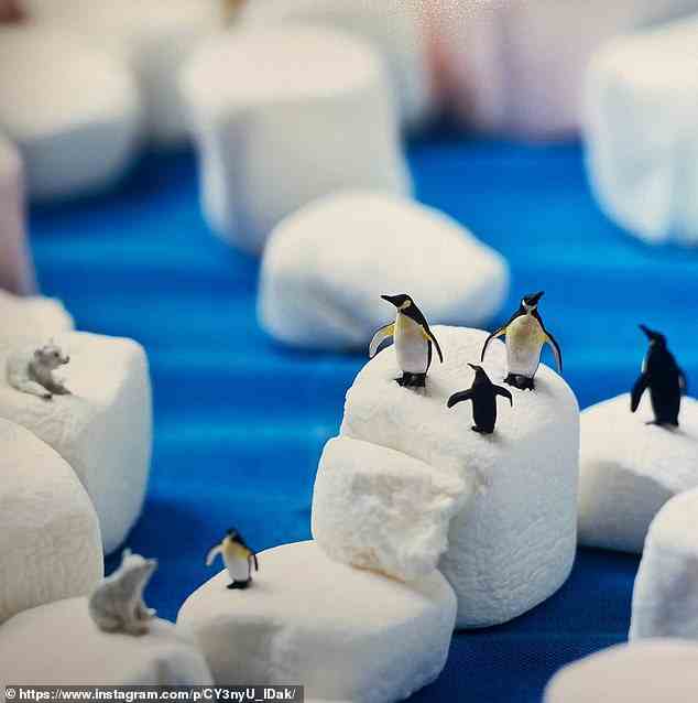 Eine Szene von Pinguinen, die sich auf einem Eisberg von der Größe eines Zuckerwürfels versammeln