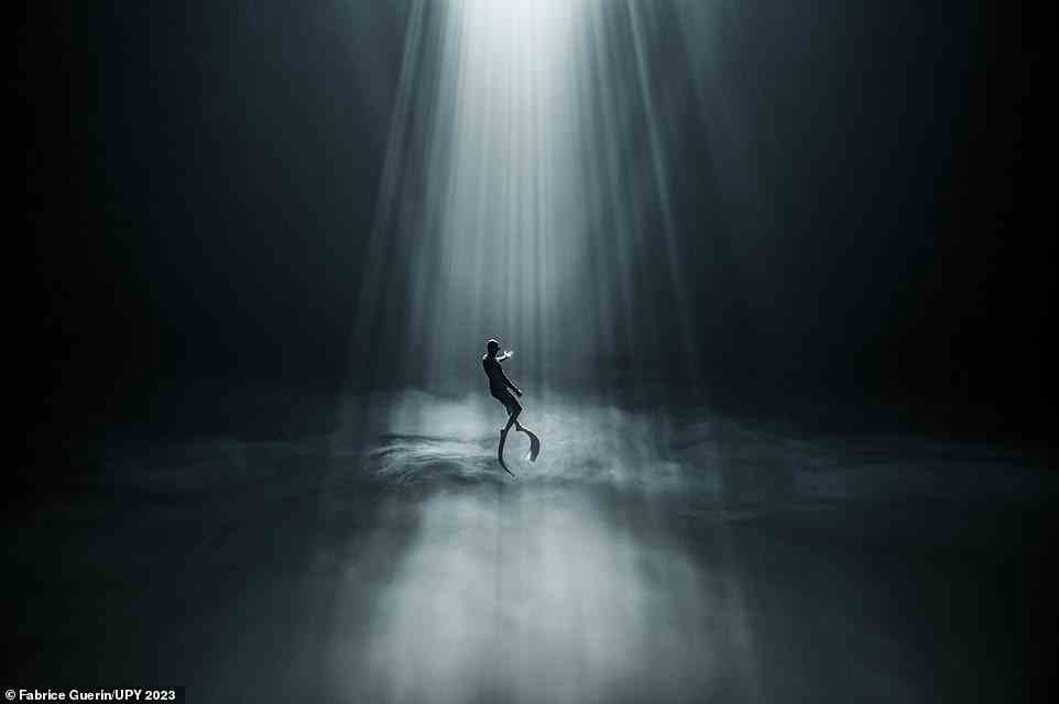 This spellbinding picture of a diver in one of the cenotes (sinkholes) of Mexico's Yucatan Peninsula is the work of French photographer Fabrice Guerin. The picture is third in the 'Black and White' category
