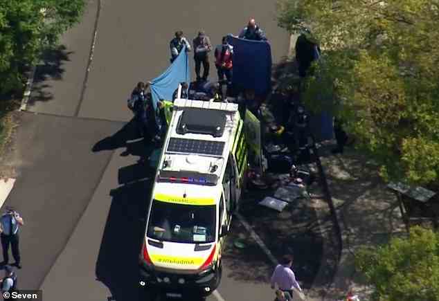 Drei Krankenwagen und ein Luftkrankenwagen eilten zum Tatort und führten bei dem Jungen eine HLW durch