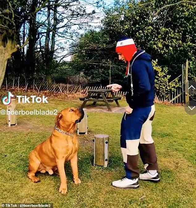Der TikToker, der hauptsächlich über seinen Hund – einen Boerboel namens Blade – postet, war in den letzten drei Jahren immer wieder Single, hatte aber zuvor eine langfristige Beziehung