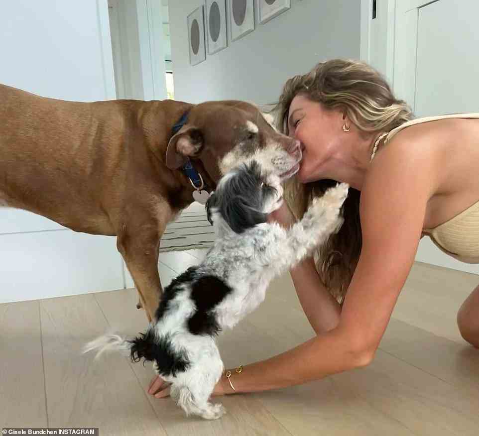 Canine kisses for the catwalker: The Vogue model posed with her dogs as they snuggled at her Miami mansion; on the wall are pictures of gray dots