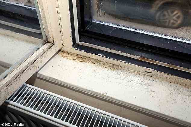 Kondensation wird oft ignoriert, ist aber für viel Feuchtigkeit im Haus verantwortlich, da sie in die Oberfläche von Wänden, Böden und Decken eindringt und nach einiger Zeit zu Schimmelbildung führen kann