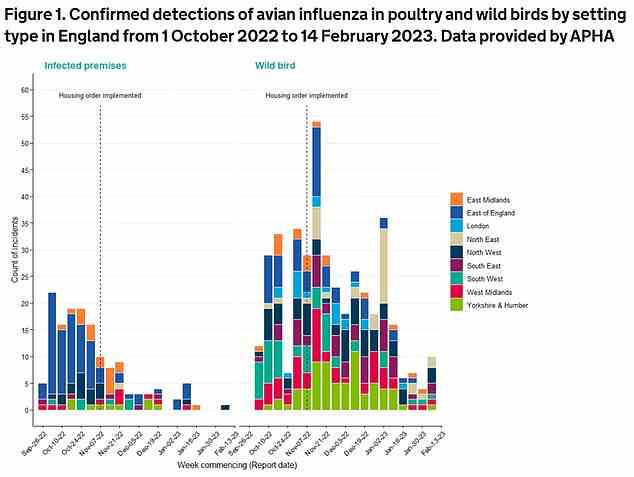 The UKHSA graph shows the number of bird flu cases, by region in England, confirmed among kept and wild birds between October 2022 and February 2023