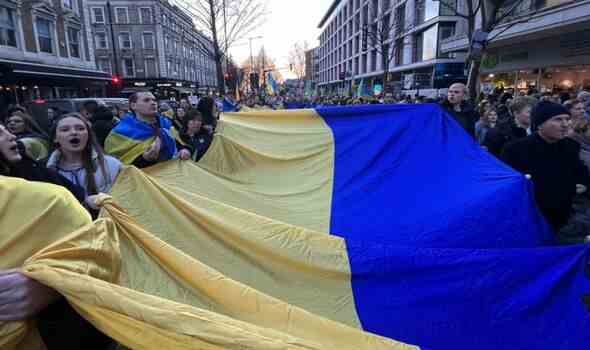 Ukrainische Flagge unter Demonstranten