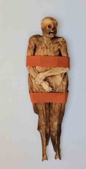   Die mumifizierten Überreste von Anna Catharina Bischoff